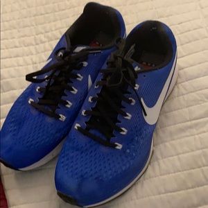 Nike zoom Pegasus 34